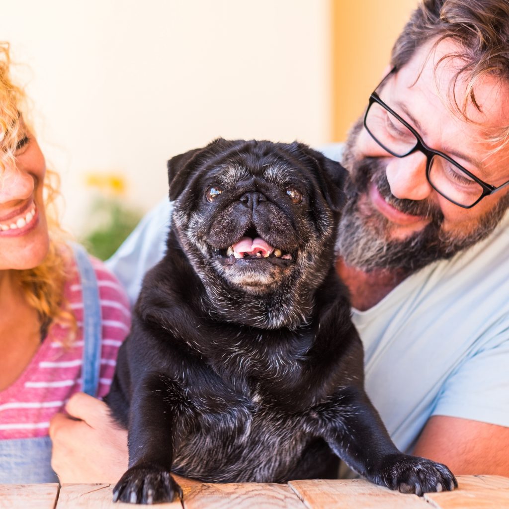 Couple with Old Pug