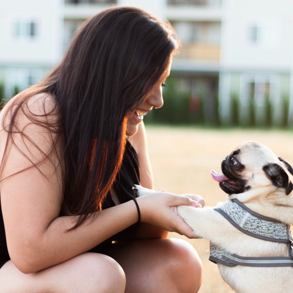 Happy Pug with Woman