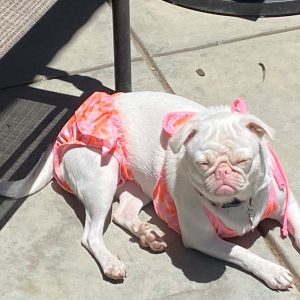 Lola in a Bikini