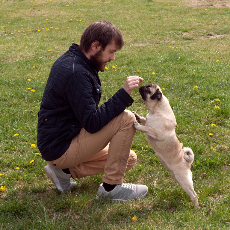 Man with Pug