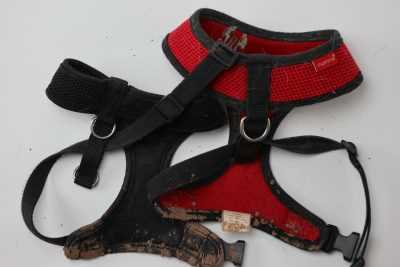 Muddy Harnesses