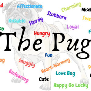 The Pug Dog Design