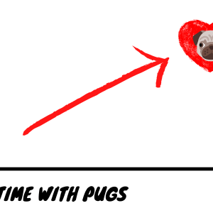Pug Happiness Chart