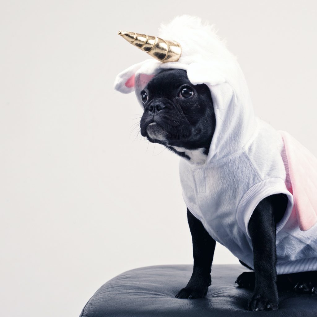 pug unicorn toy