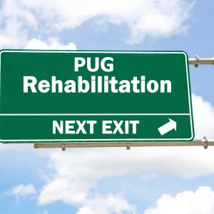 Pug Rehabilitation Final