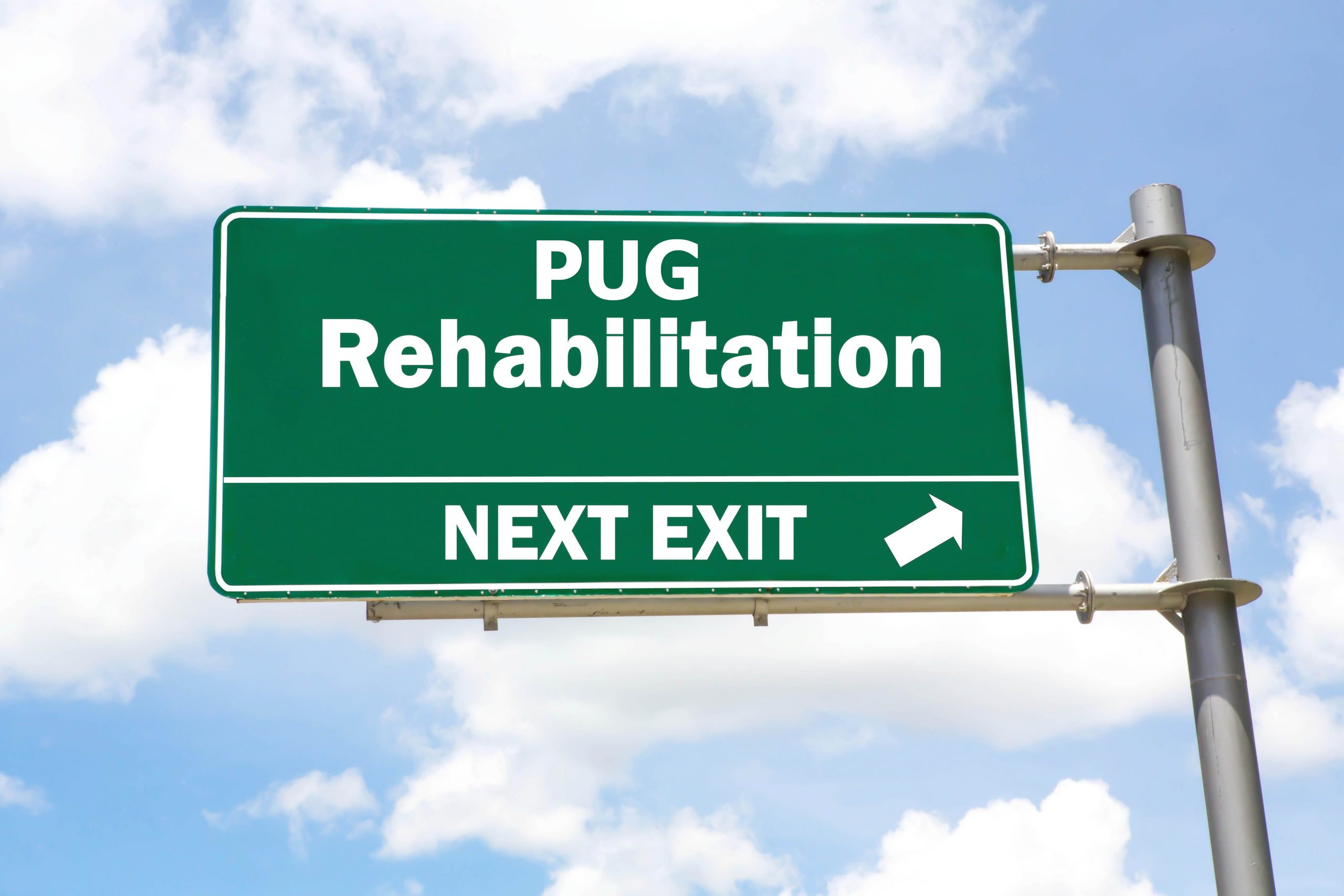 Pug Rehabilitation | Kooky Pugs