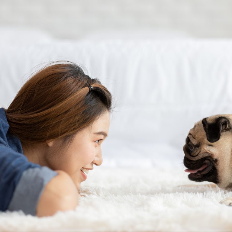 Pug with Woman