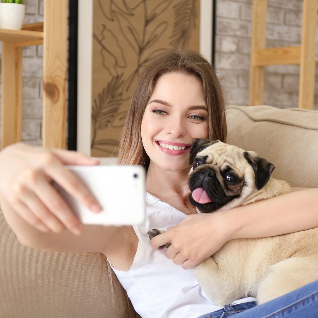 Pug Selfie