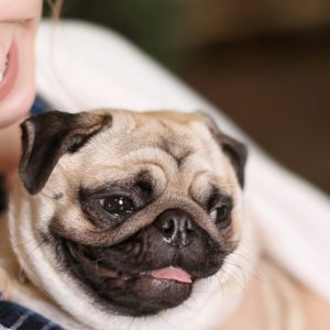 Smiling Woman with Pug