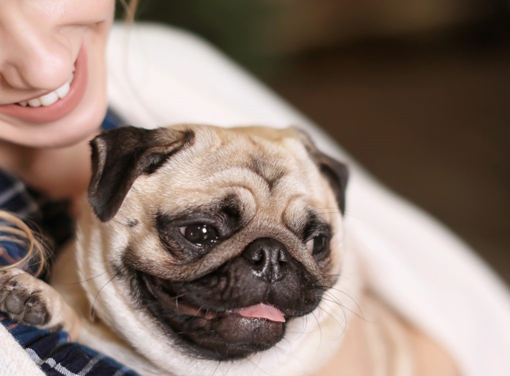Smiling Woman with Pug
