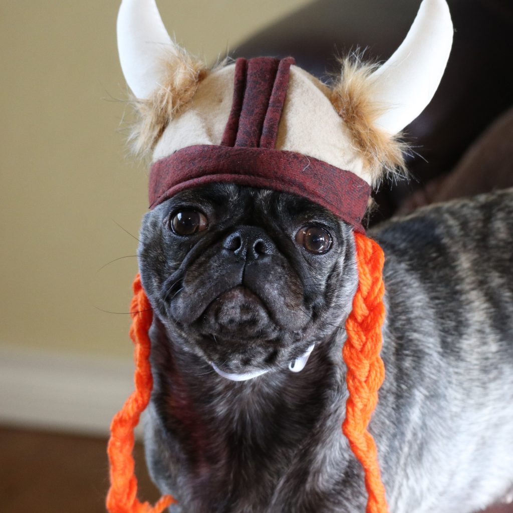 Viking Pug